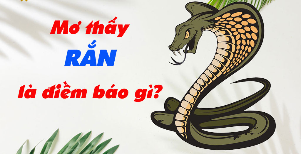 Mơ thấy rắn