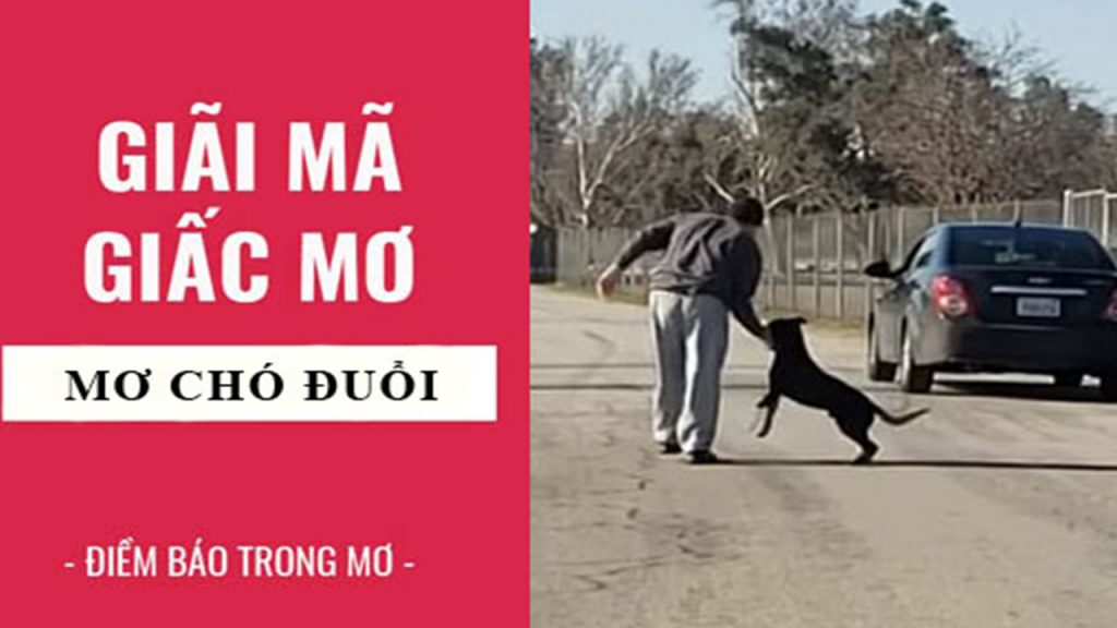 Mơ thấy bị chó rượt