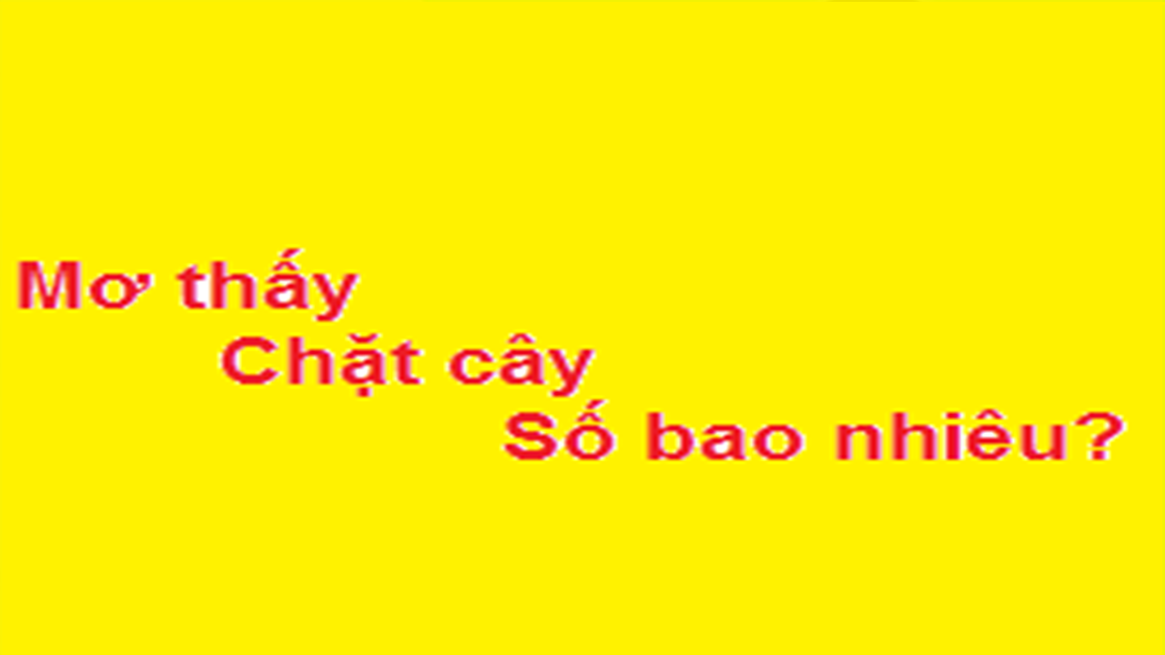Mơ thấy chặt cây đánh số gì?