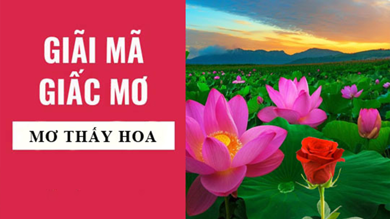 Mơ thấy hoa sen