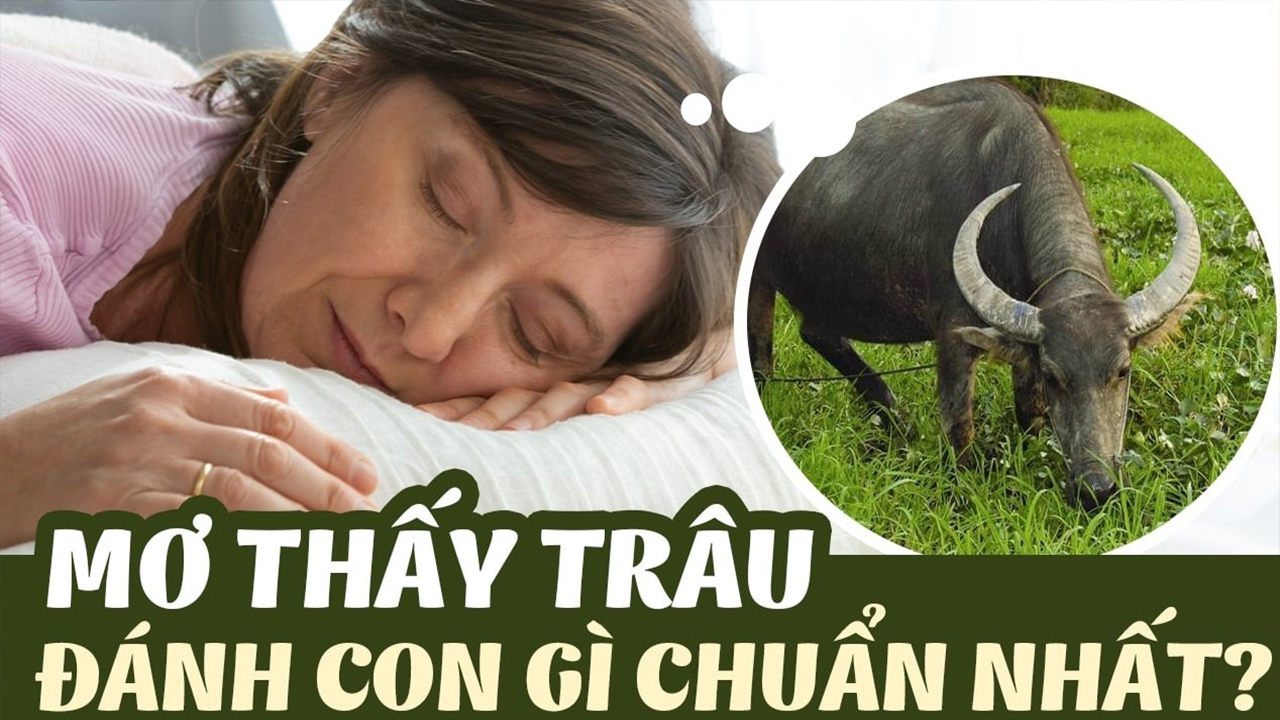 Mơ thấy tắm cho trâu