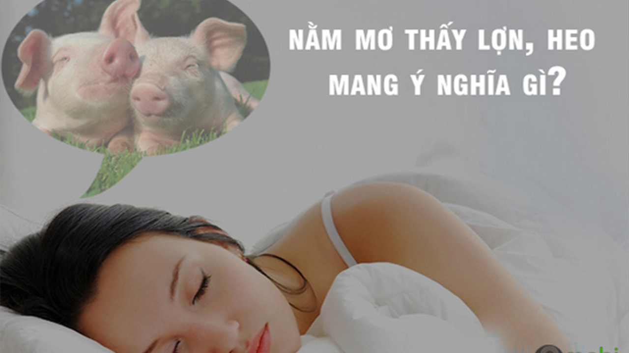 Nằm mơ thấy heo