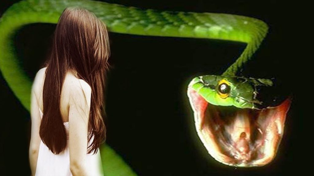 Mộng thấy rắn đuổi