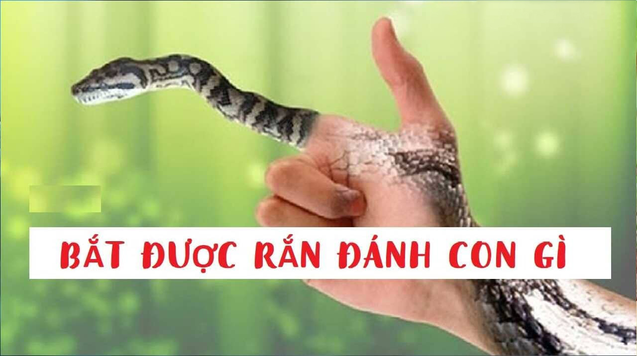 Chiêm bao thấy rắn đánh số gì?