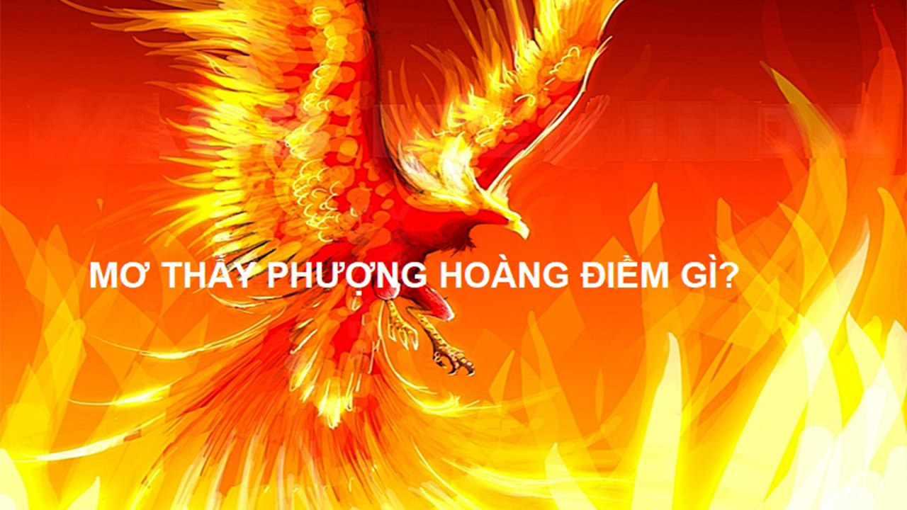 Mơ thấy chim phượng hoàng đánh con gì?