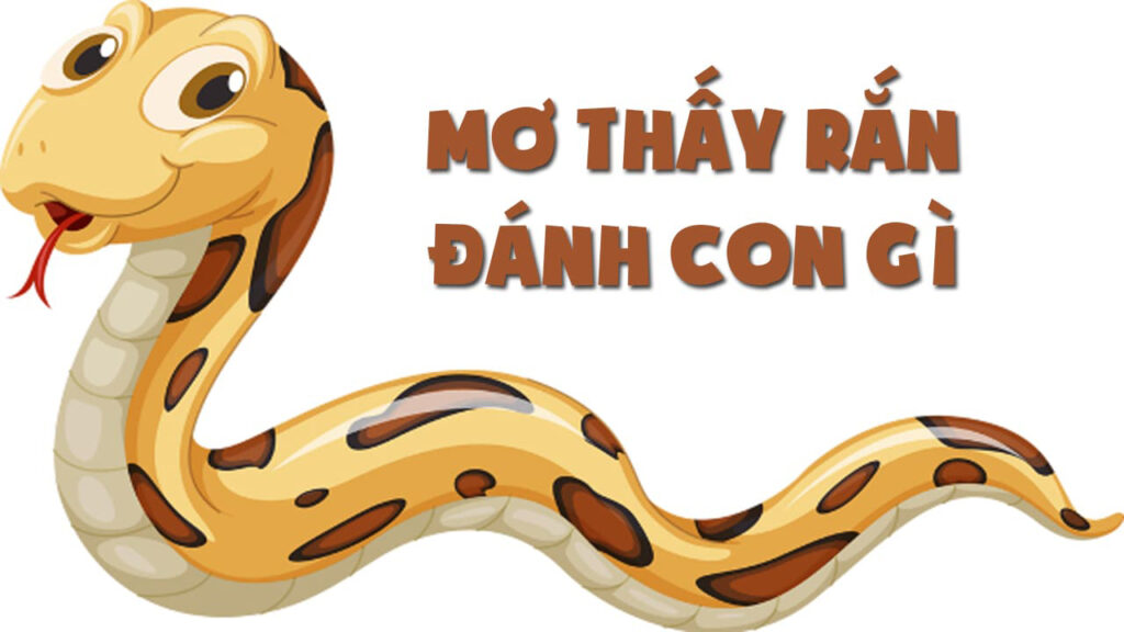 Bà bầu mơ thấy rắn đánh số gì?
