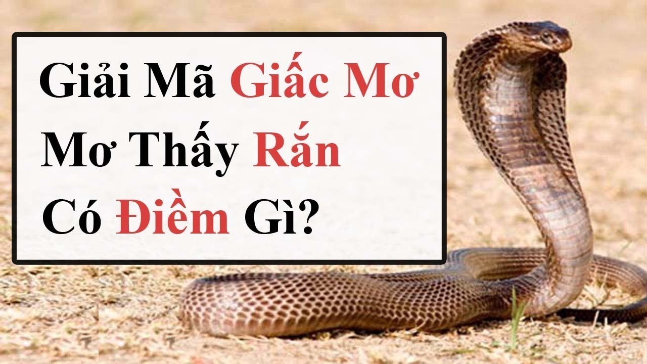 Mơ thấy rắn đánh số mấy?