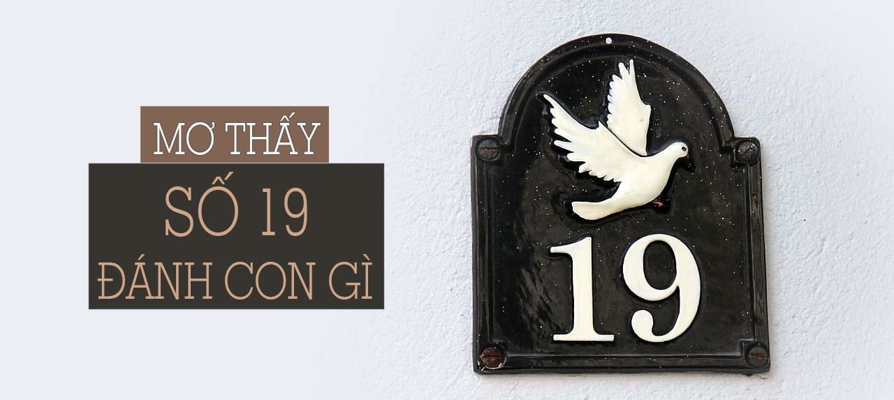 Mơ thấy số 19 đánh con gì?