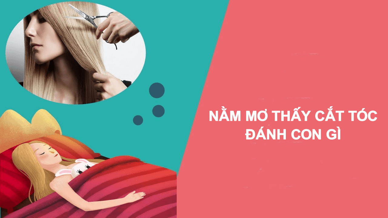 Nằm mơ thấy cắt tóc đánh con gì?